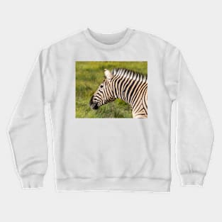 Zebra. Crewneck Sweatshirt